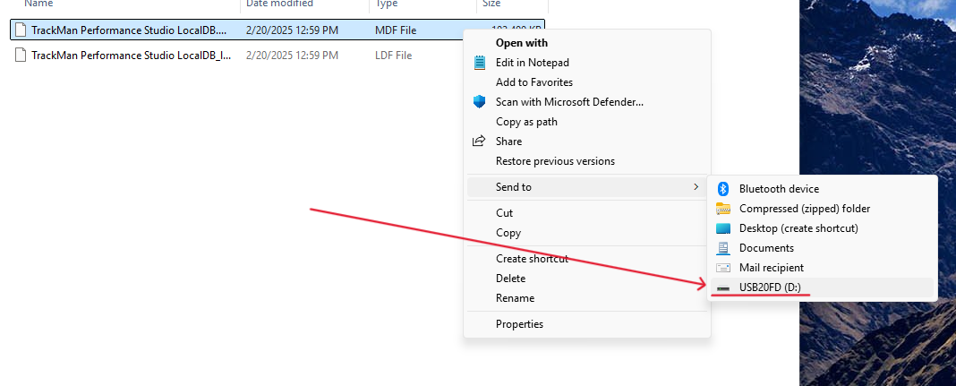 Export-Import-TPS-Data-From-Old-PC-New-PC-4.png