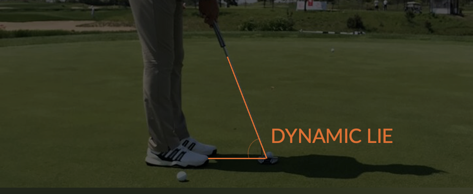 Dynamic lie.png