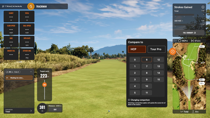 Tee shots 1.png